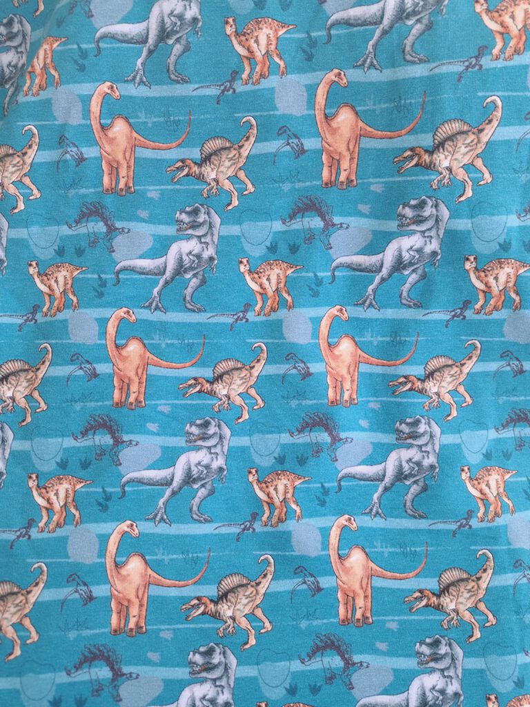 Stoffauswahl für Wunschanfertigungen - BW Jersey Petrol mit Dino